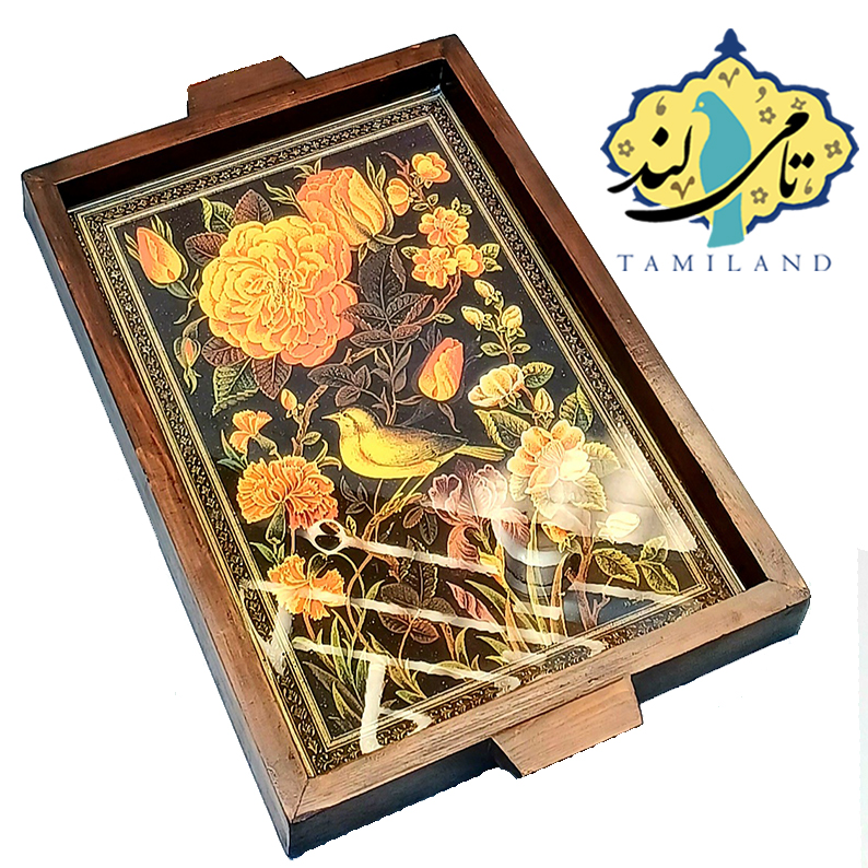 سینی پذیرایی